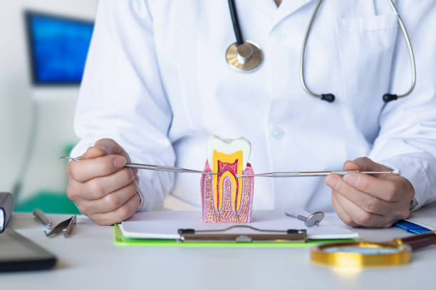 Best Emergency Root Canal Therapy in Chalfant, CA